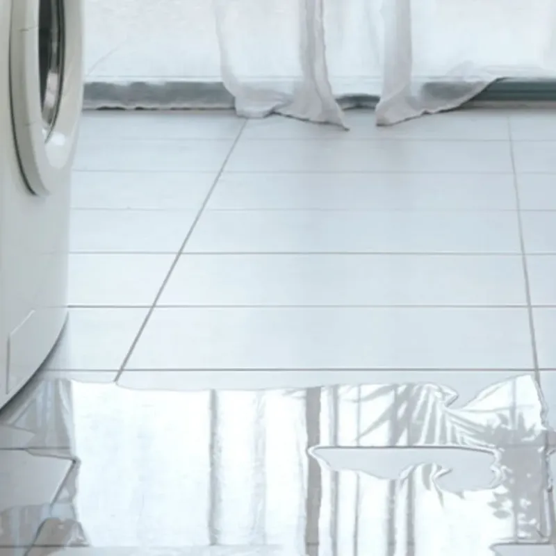Appliance Leak Cleanup in Channel Lake, IL