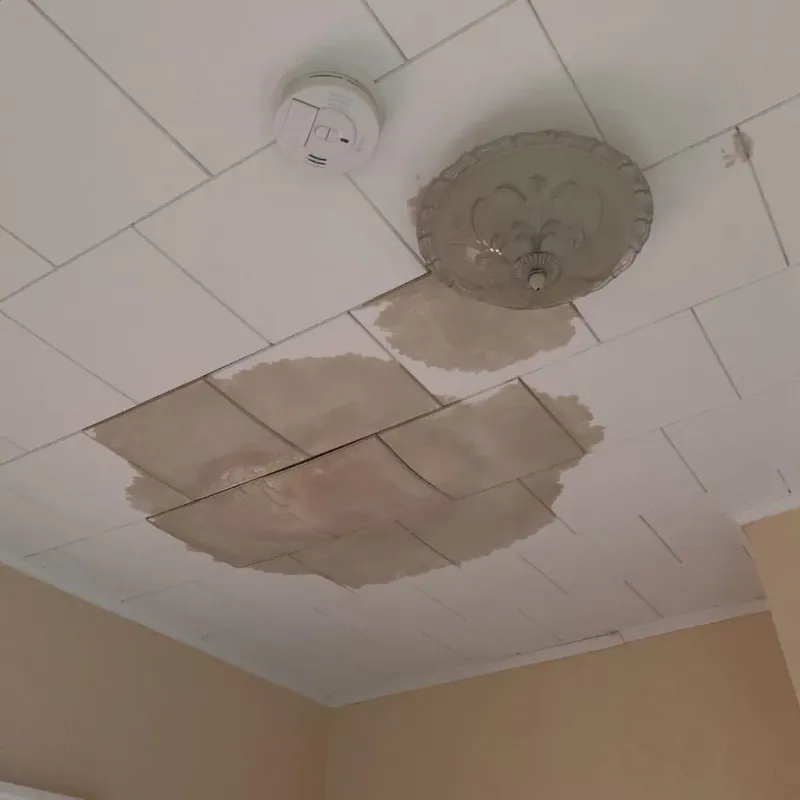 Ceiling Water Damage Repair in Channel Lake, IL