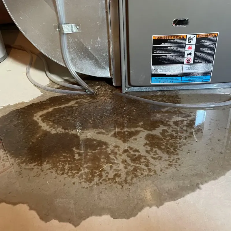 Pipe Burst and Leak Restoration in Channel Lake, IL