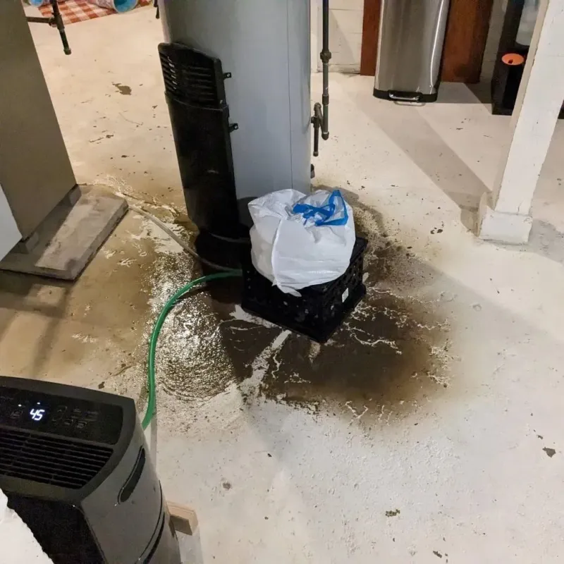 Sewage Backup Cleanup Service in Channel Lake, IL